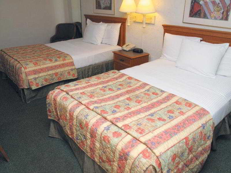 Red Roof Inn Tampa Bay - St. Petersburg Chambre photo