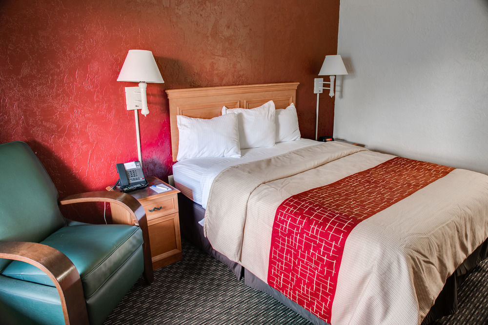 Red Roof Inn Tampa Bay - St. Petersburg Extérieur photo