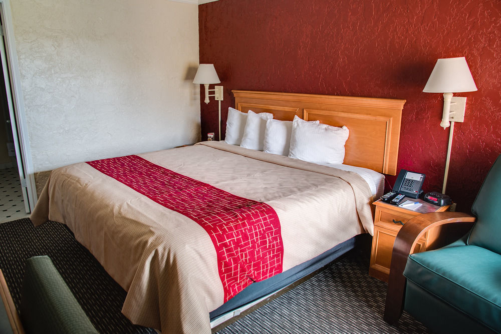 Red Roof Inn Tampa Bay - St. Petersburg Extérieur photo